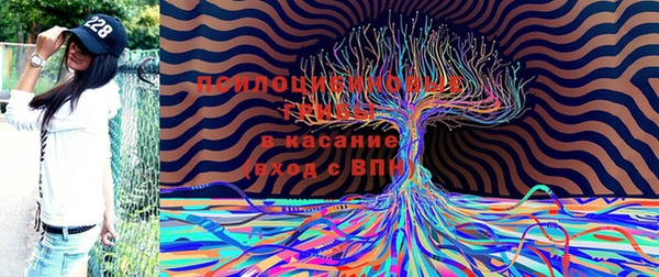 2c-b Переславль-Залесский