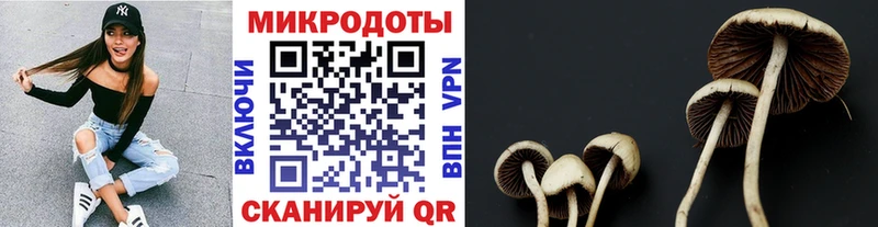 купить наркотик  Ряжск  Галлюциногенные грибы Magic Shrooms 